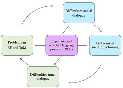 Frontiers | Improving social emotional functioning in adolescents with